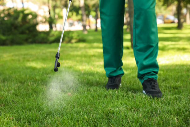 Best Commercial Pest Control Services  in Plano, KY
