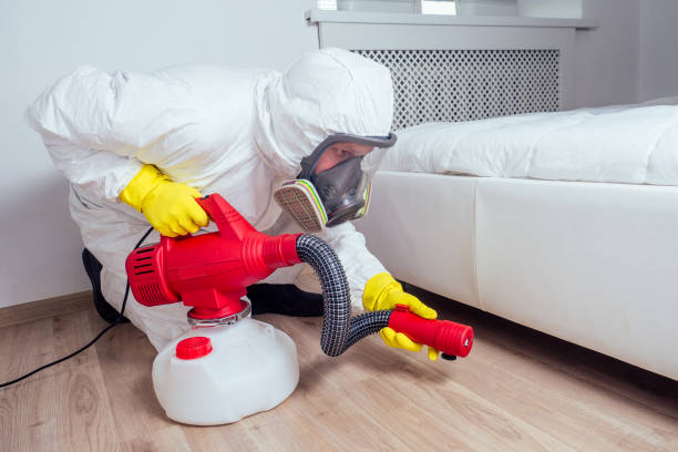 Best Emergency Pest Control  in Plano, KY