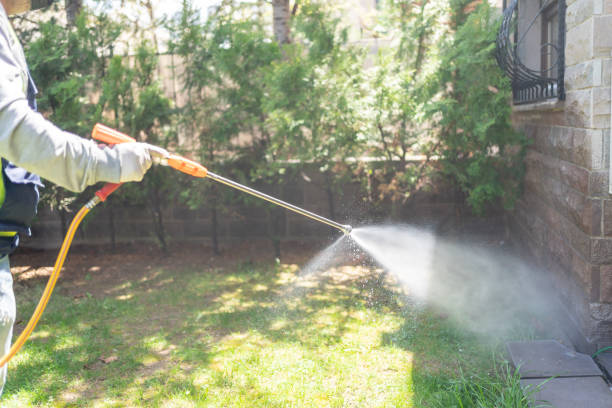 Best Pest Removal Services  in Plano, KY