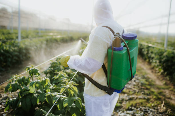 Best Exterminator Services  in Plano, KY